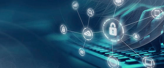 security newsletter